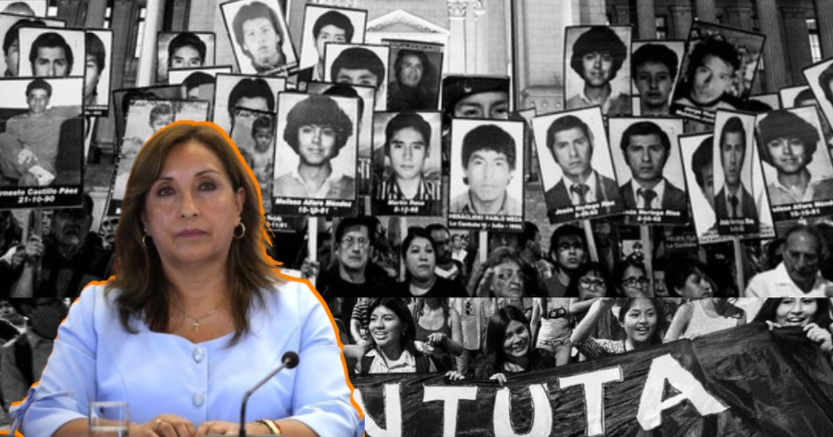 Dina Boluarte firma hoy la ley de amnistía para fuerzas militares y policiales pese a solicitud de la CIDH