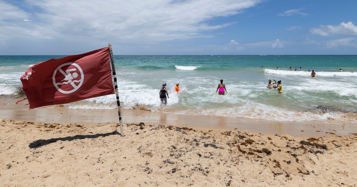 Científicos alertan sobre olas gigantescas de hasta 30 metros en la Costa Este de EE.UU. por huracán Erin