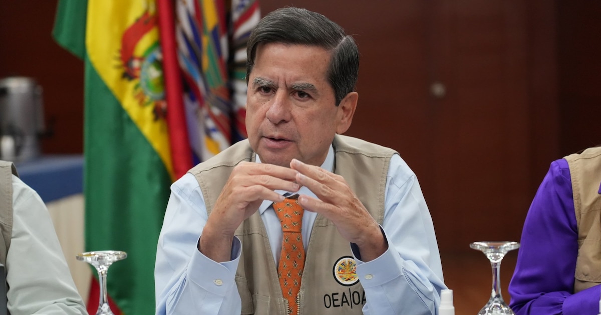 OEA denuncia intentos de obstaculizar elecciones en Bolivia y llama a la ciudadanía a votar para fortalecer la democracia