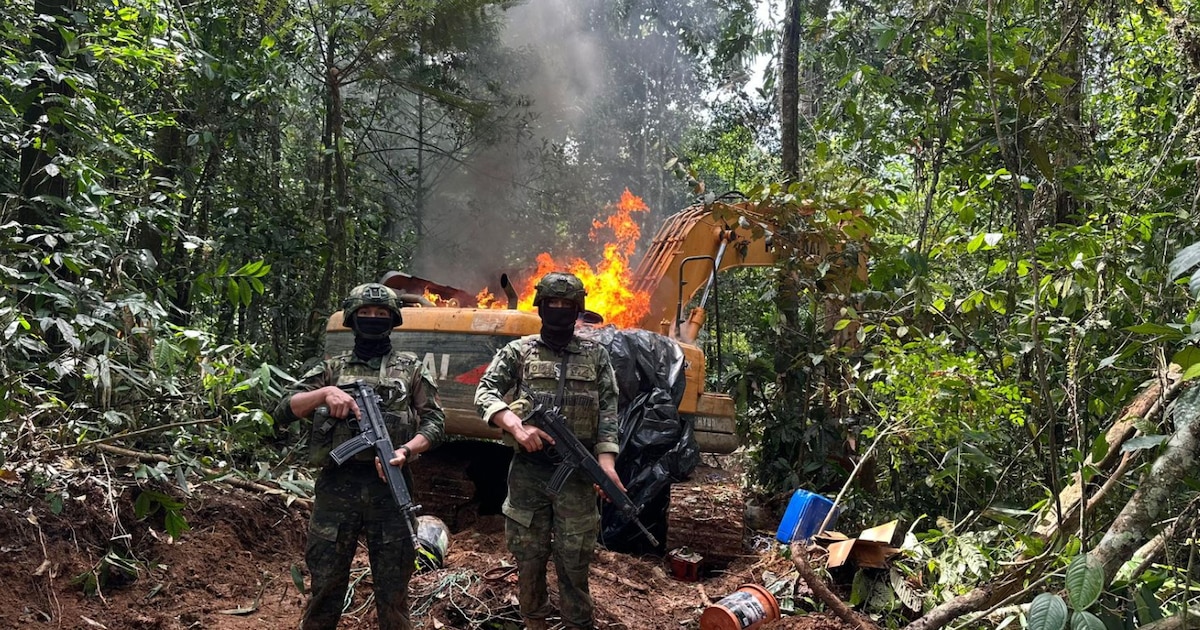 Ejército Ecuatoriano destruye campamento de minería ilegal en la Amazonía para frenar actividades ilícitas