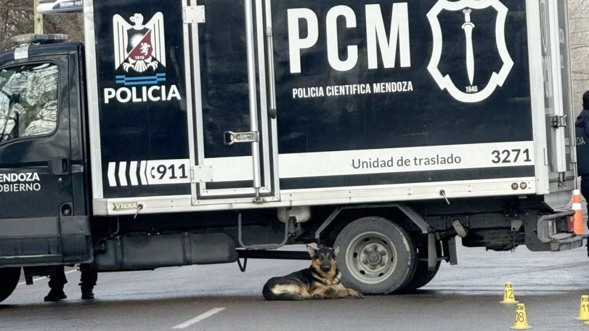 Trágico cumpleaños en Mendoza: atropellan y matan a hombre de 60 años mientras paseaba a su perro, que se quedó a su lado hasta el final