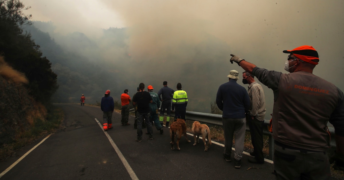 Vecinos de La Bañeza piden declarar emergencia nacional por sobrepasar capacidades autonómicas y locales ante crisis en Castilla y León