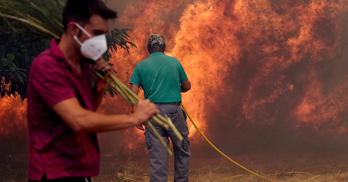 Cerca de 400.000 hectáreas ardidas en España en 2025: el devastador impacto de las olas de calor y el agosto récord