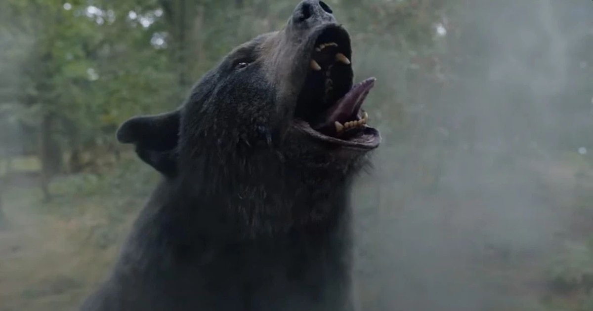 La historia insólita de 1985: el oso negro “Pablo Eskobear” que murió tras ingerir cocaína de un narco en Georgia