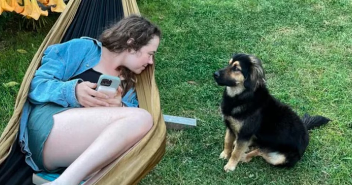De viaje en Perú a nueva vida en Inglaterra: la increíble historia de Radley y el perro callejero que conquistó su corazón