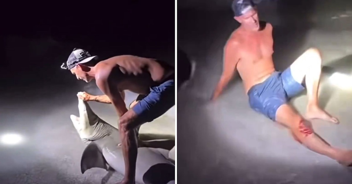 ¡Pescador en Florida recibe mordida de tiburón limón durante sesión de pesca nocturna en su cumpleaños!