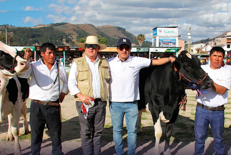 Programa Ganaderos de Altura impulsa desarrollo sostenible en Cajamarca
