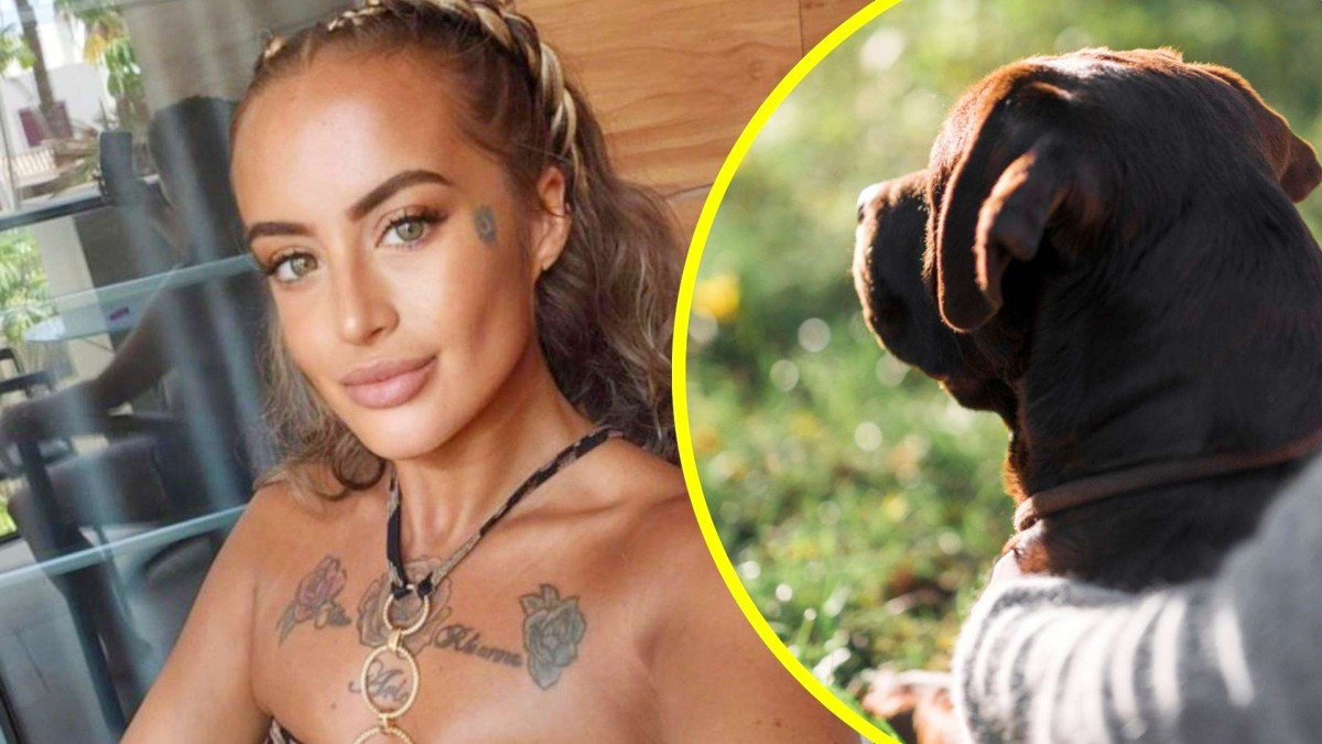 ¡Tragedia en Reino Unido: Mujer muere tras ser mordida por su perro durante juego con nuggets!