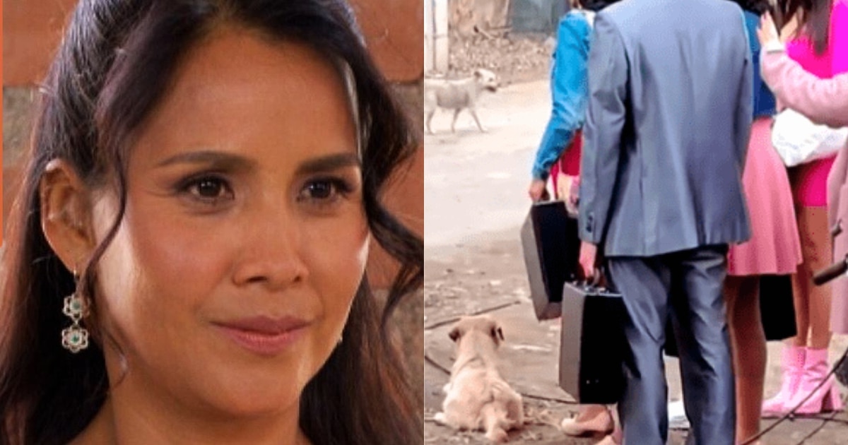 Nidia Bermejo, de Al Fondo Hay Sitio, enfrenta críticas por empujar a perro callejero en grabación