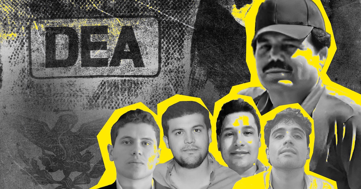 ¡Impactante golpe al Cártel de Sinaloa: DEA arresta a 617 miembros, incauta 480 kg de fentanilo y más de 11 millones de dólares en operación sin precedentes!
