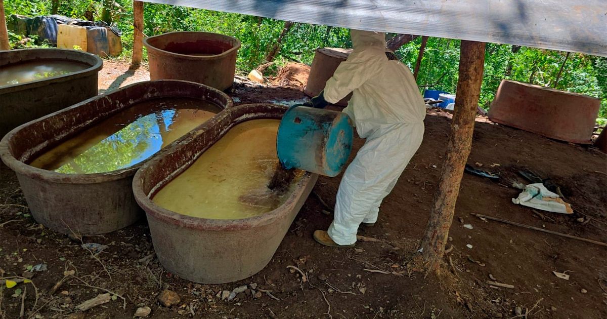 ¡Impactante operación en Durango: la Marina desmantela 2 laboratorios clandestinos y asegura 21 toneladas de metanfetamina en la mayor incautación de la administración!