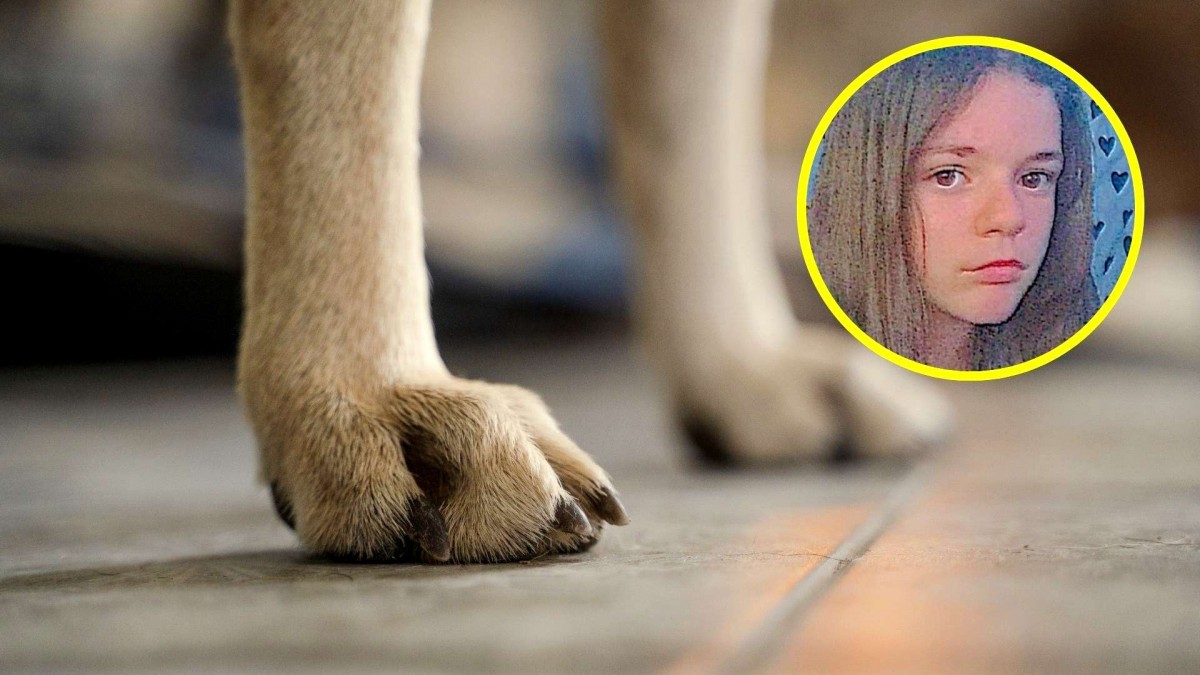 Joven de 17 años muere tras brutal ataque de perro en Australia: una tragedia que conmueve a Nueva Gales del Sur