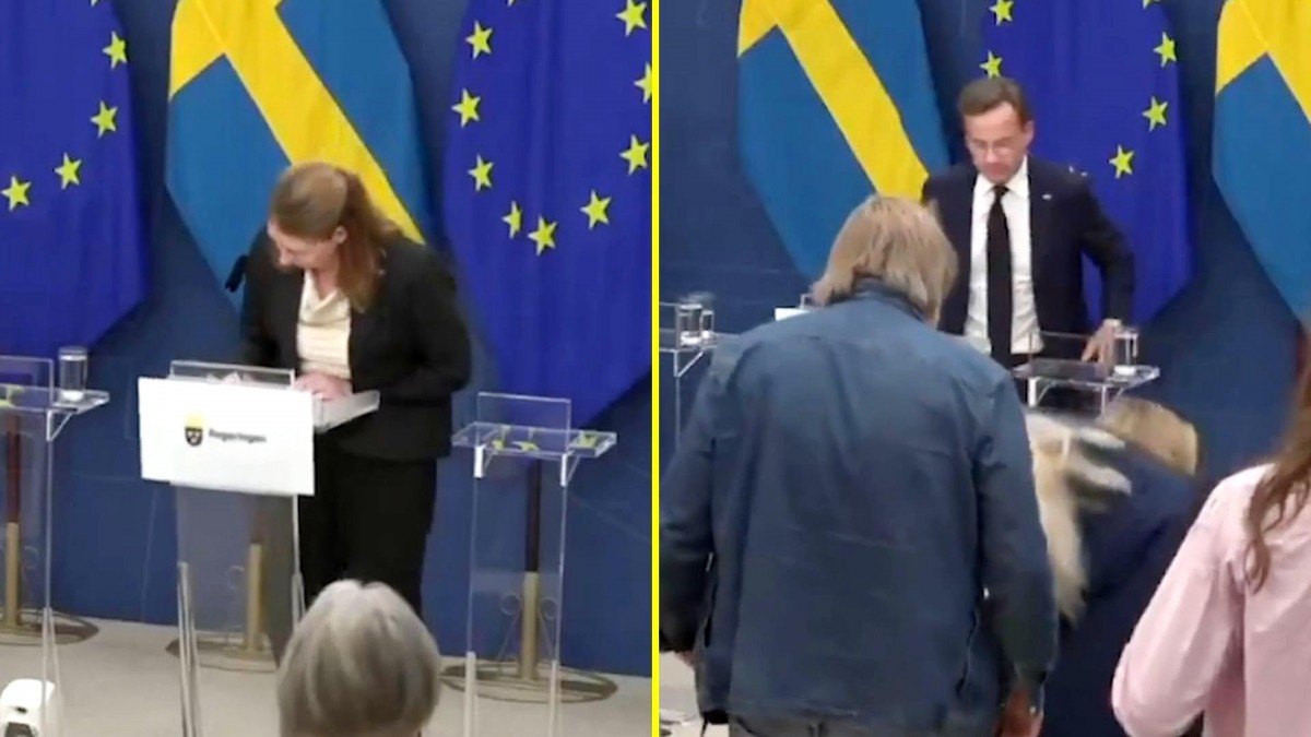 Ministra de Salud de Suecia se desploma en plena presentación y detiene conferencia en vivo