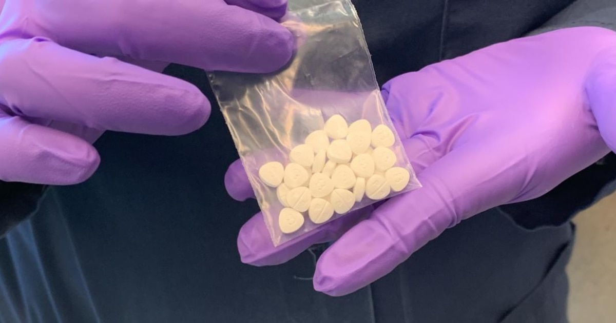 Alerta global: los mortales nitazenos, las nuevas drogas opioides miles de veces más peligrosas que la heroína, arrasan en
