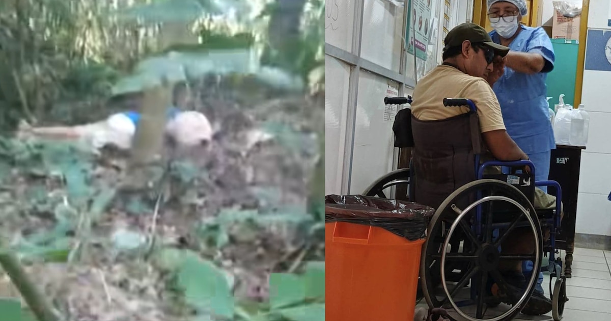 Mujer de 79 años muere tras ataque de abejas en Puerto Maldonado; guías arriesgaron su vida para salvarla