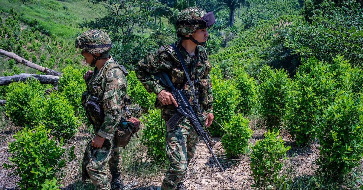 EE.UU. evalúa cortar millonaria ayuda a Colombia por fallos en lucha antidroga ante intensificación de ataques en aguas venezolanas
