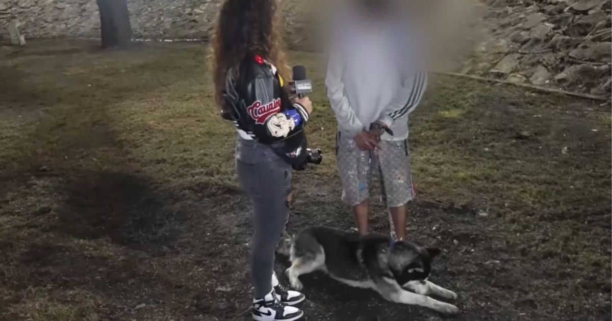 ¡Tragedia en Iztapalapa: Explosión por volcadura de camión de gas deja 13 muertos y más de 90 heridos! La vida de Armando y su perro en juego, mientras la ciudad enfrenta una de sus peores catástrofes