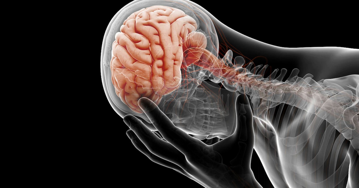 La clave del cerebro para hábitos peligrosos: la corteza prefrontal en riesgo según Daniel Amen