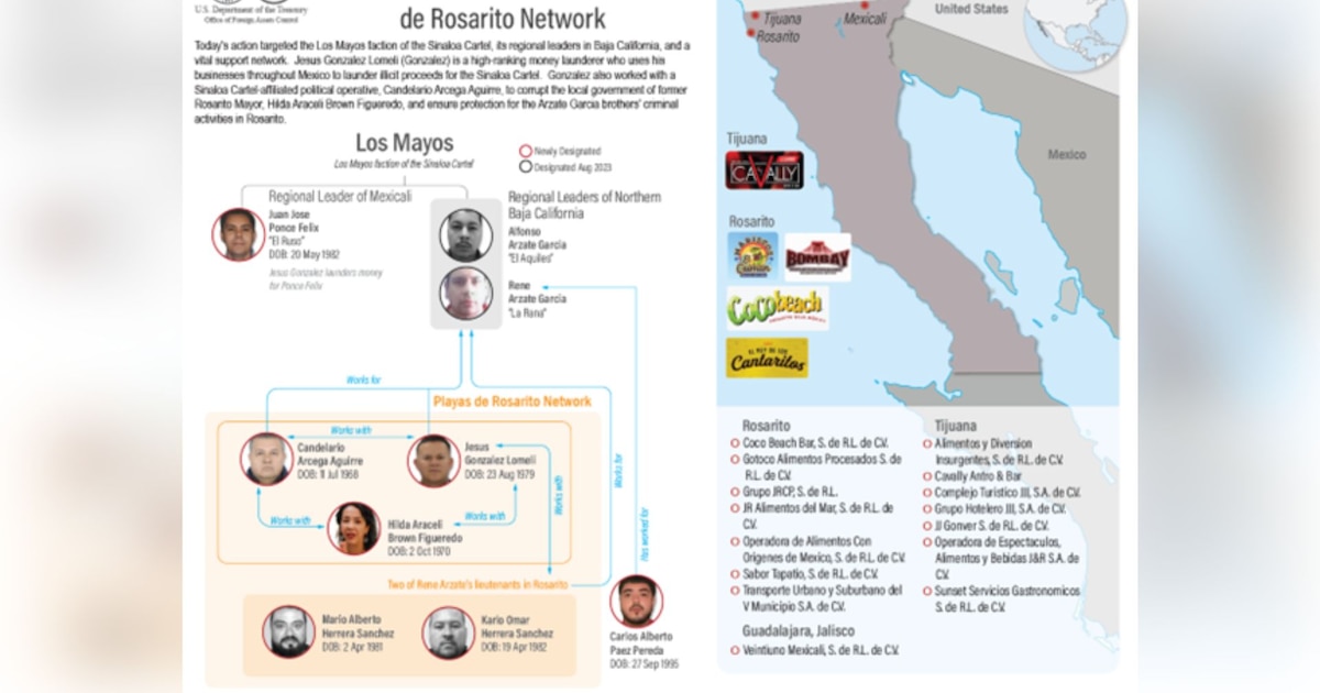 ¡Escándalo en Baja California! La UIF Bloquea Cuentas de la Red Criminal del Cártel de Sinaloa Liderada por «La Mayiza» y Vinculan a Diputada Morenista Hilda Brown en Lavado de Dinero
