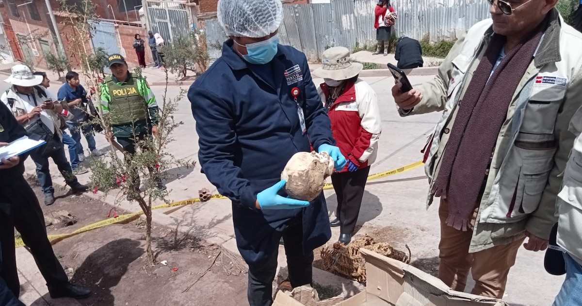 Hallan fardo funerario prehispánico en Cusco y alertan sobre tráfico ilícito