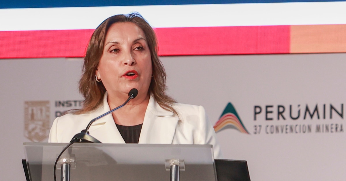 Dina Boluarte confirma cierre del Reinfo en diciembre por plazo limitado