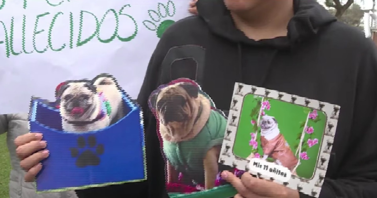 Vecinos de San Isidro exigen justicia por envenenamiento de mascotas en parques