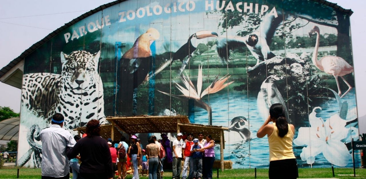 Proponen cerrar gradualmente los zoológicos públicos en todo el país