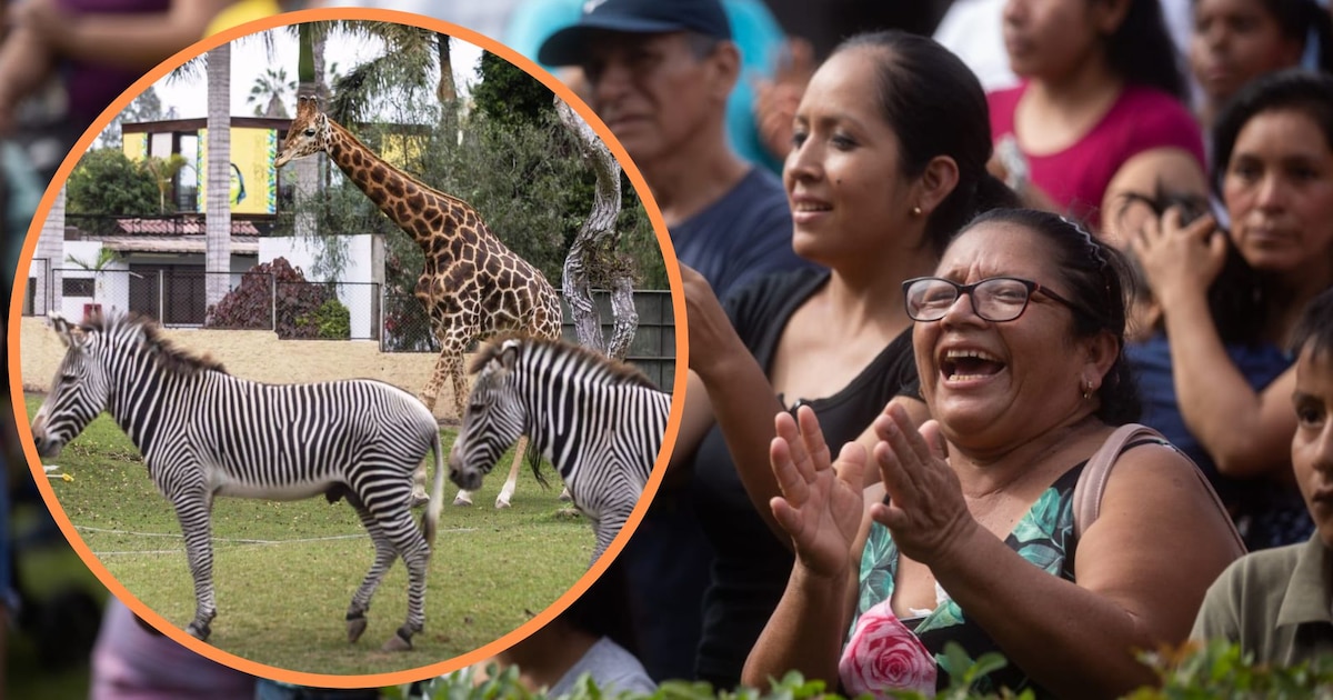Proponen cerrar todos los zoológicos y parques de las Leyendas en Perú