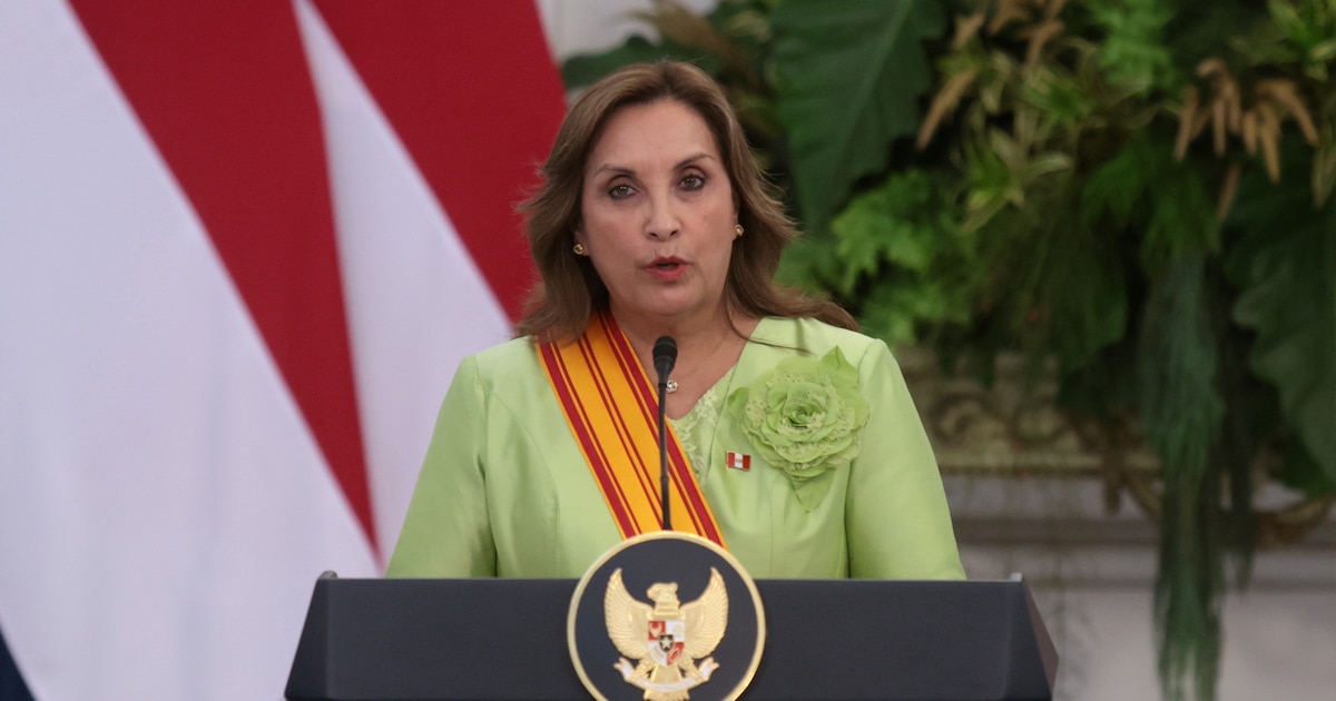 Dina Boluarte evalúa regresar al Reniec o postular en 2026, afirma su abogado