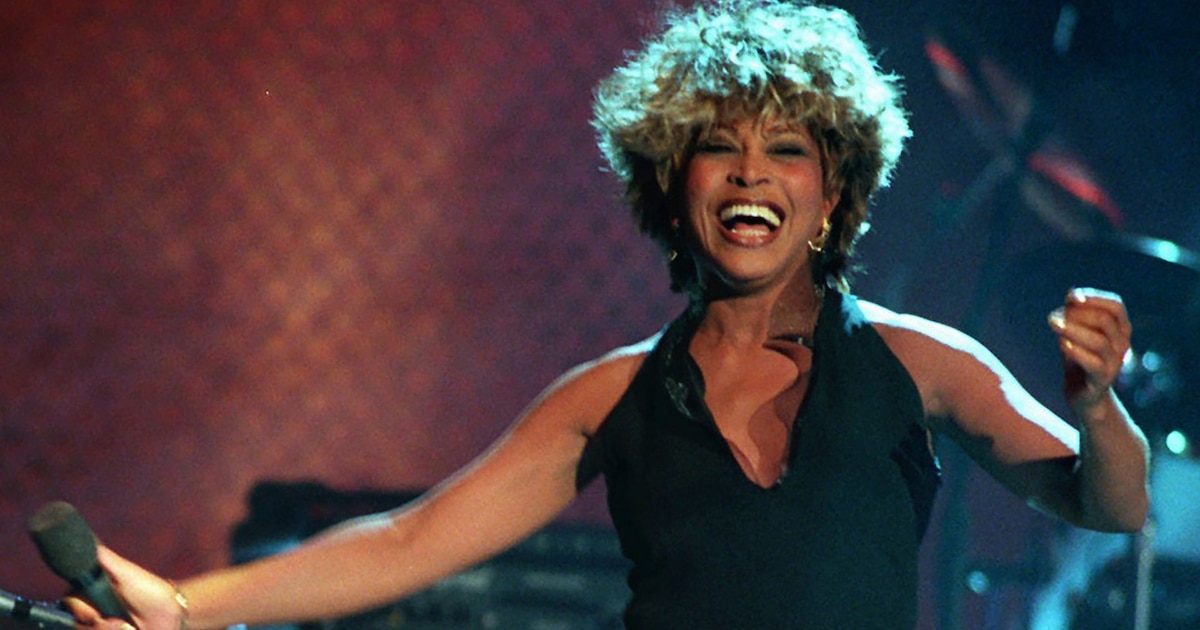Controversia en Tennessee: La polémica estatua de Tina Turner divide opiniones y enciende debates en redes sociales