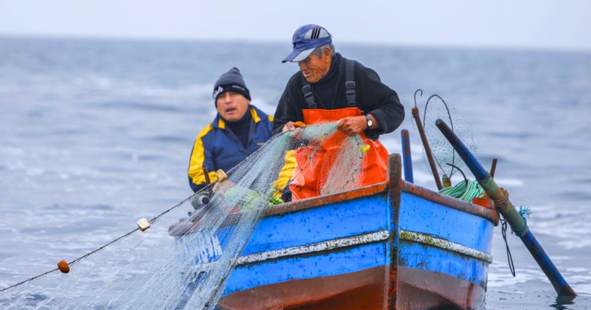 Pescadores peruanos pagan cuota a narcos ecuatorianos en altamar para sobrevivir