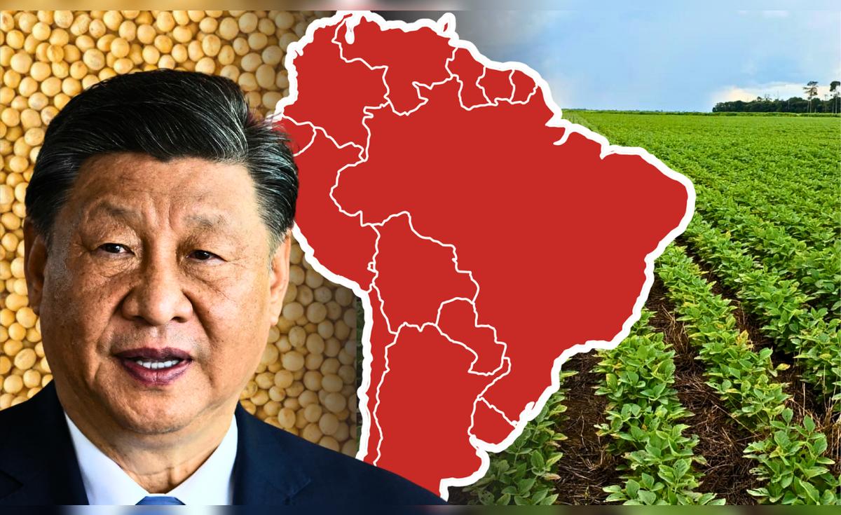 Brasil desplaza a EE. UU. como principal proveedor de soja a China en medio de guerra comercial