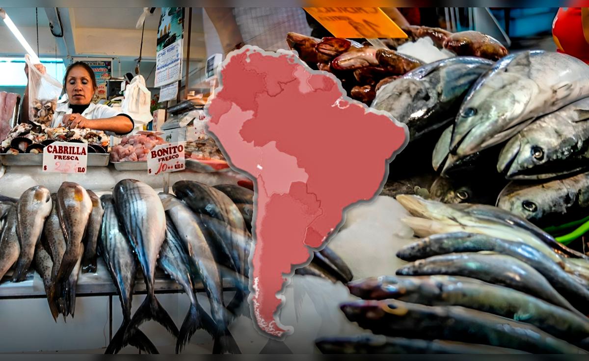 Perú lidera la pesca mundial en 2024: América Latina alcanza récords en producción de pescado