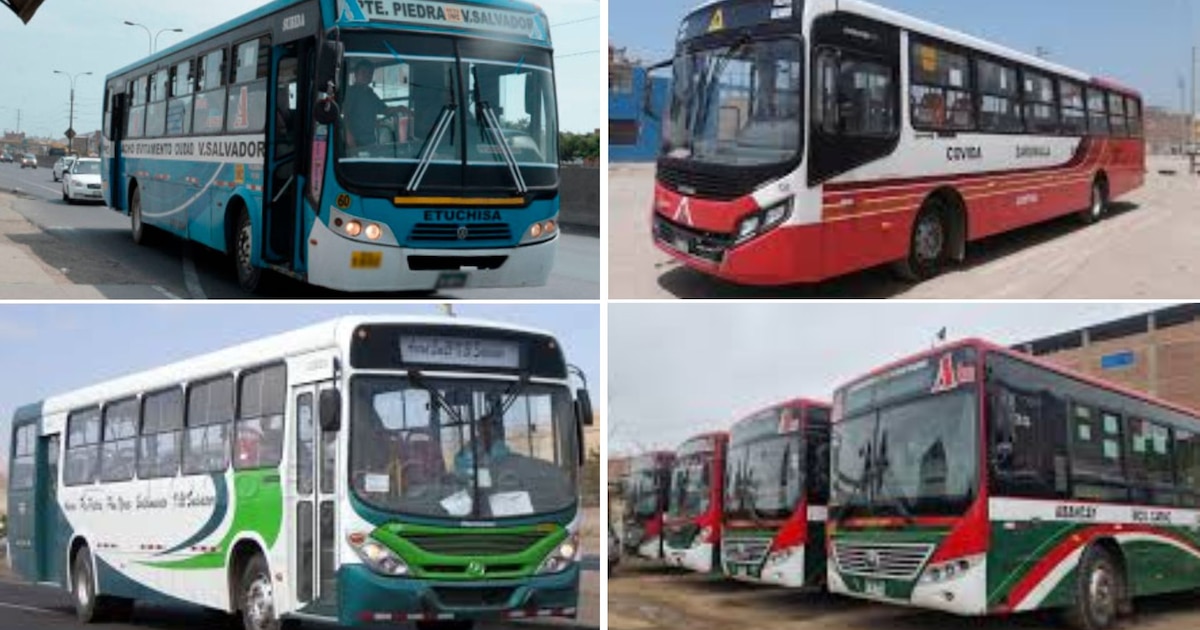 Paro de transporte el 6 de octubre: empresas que suspenderán sus servicios