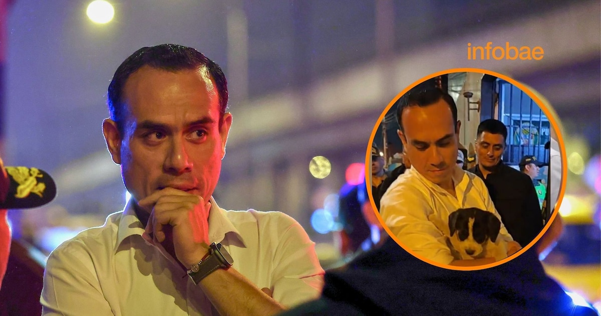 Transportistas critican a José Jerí por grabar TikToks y adoptar perros en plena crisis