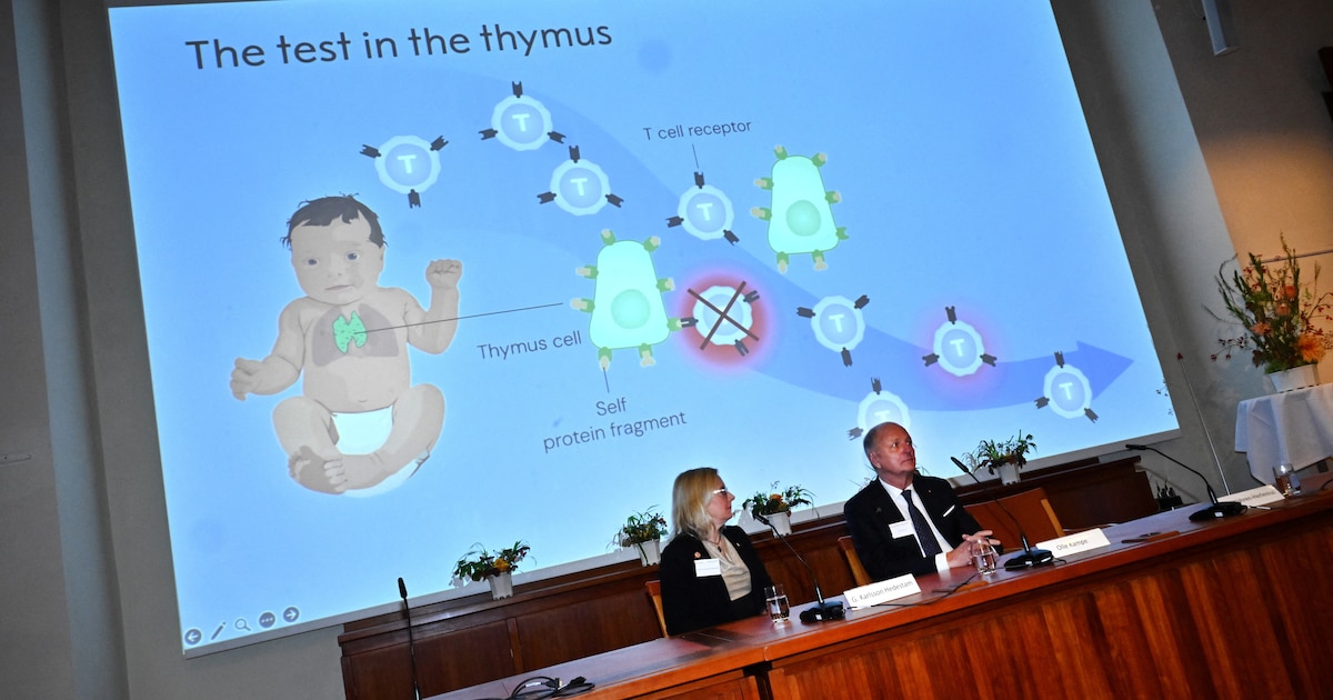 ¡Revolución en Medicina! Premios Nobel descubren mecanismo clave para tratamientos contra cáncer y enfermedades autoinmunes