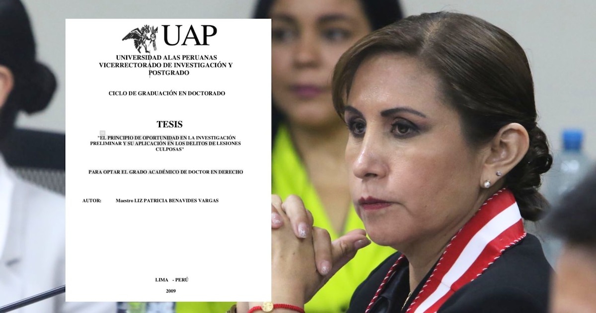 Denuncian plagio en tesis de Patricia Benavides con textos y artículo copiado