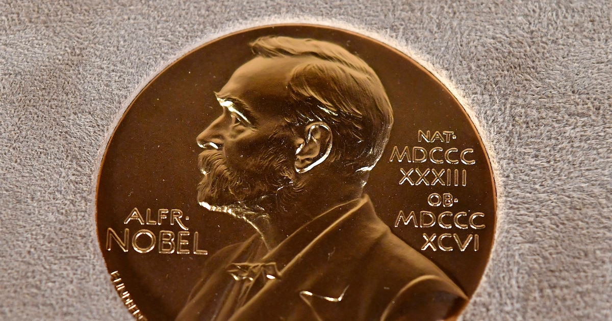 Nobel de la Paz 2025: Decisión secreta antes del acuerdo entre Israel y Hamas, Donald Trump en la mira