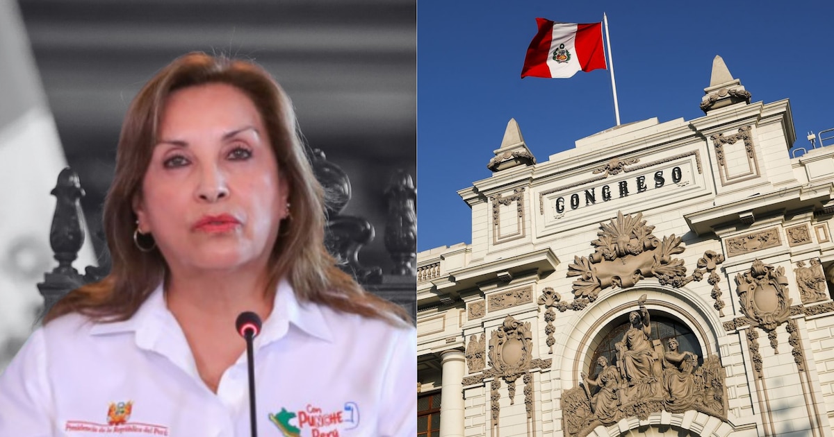Exexpresidente del TC advierte que el Congreso podría intentar un golpe si vacan a Dina Boluarte por incapacidad moral