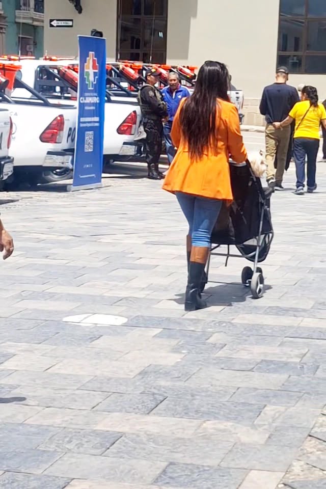 Mujer pasea a sus mascotas en cochecito en la Plaza de Armas de Cajamarca