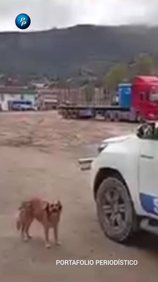 Celendín: Fugitivo de prisión en fuga tras fuga de comisaría en caso de asaltos