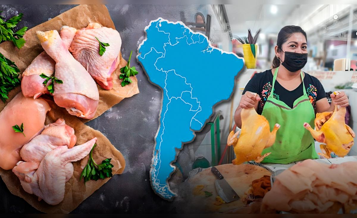 Brasil supera a Perú como líder latinoamericano en producción mundial de carne de pollo, en medio de la competencia global con EE.UU. y China