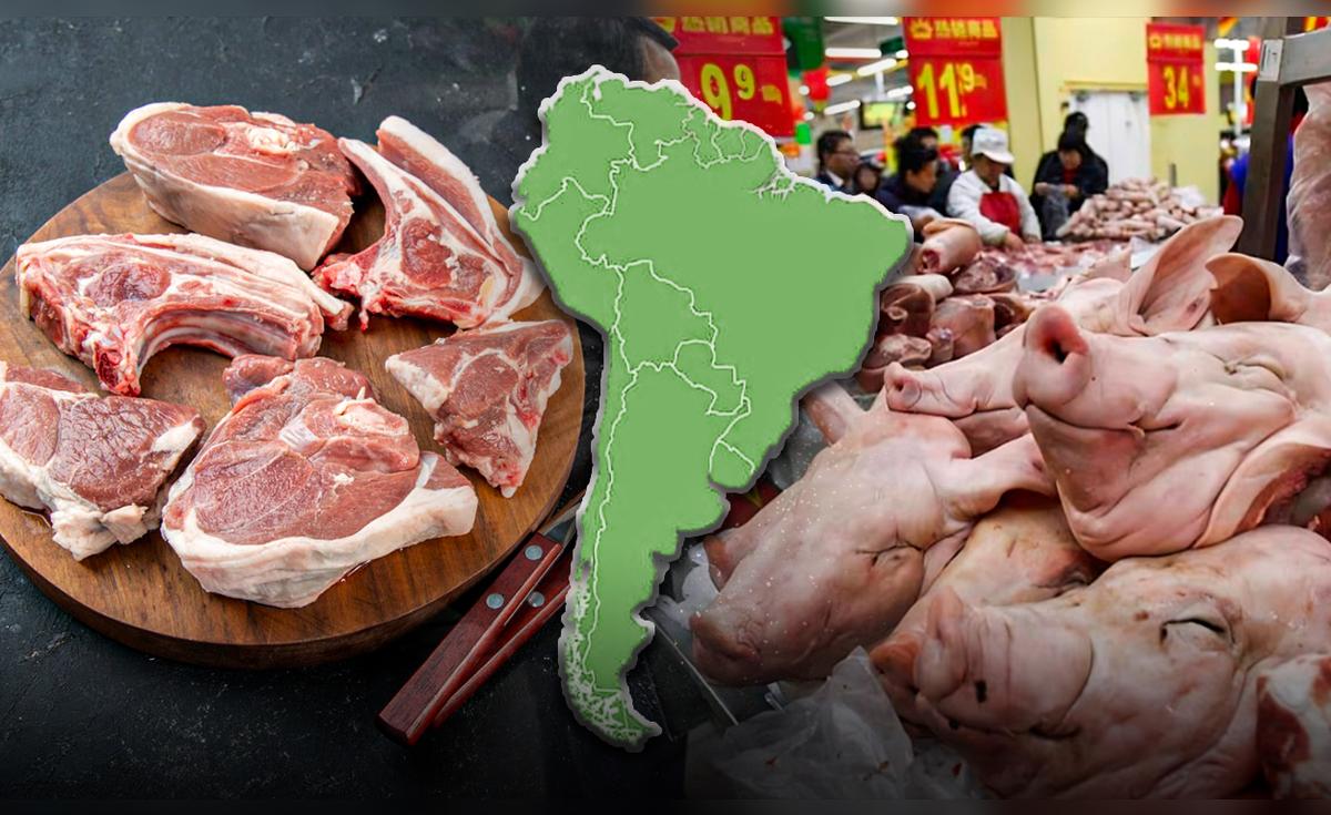 Brasil lidera en América Latina y se posiciona en el Top 4 mundial de producción de carne de cerdo con 4.6 millones de