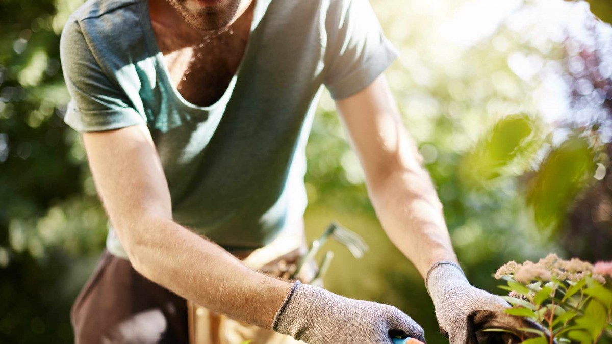 ¡Rechazan teletrabajo a jardinero en España: “Su puesto no se puede adaptar”!
