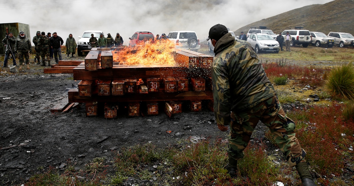 Bolivia pide ayuda internacional para luchar contra cárteles transnacionales y anuncia regreso de la DEA