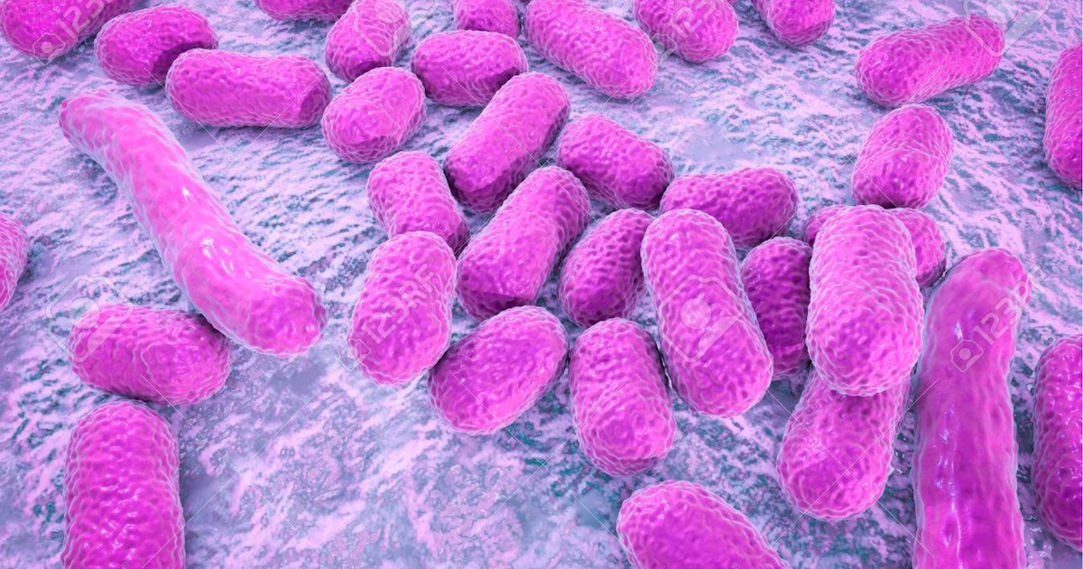 Hospital Antonio Lorena en Cusco controla brote de bacteria Acinetobacter baumannii en la UCI