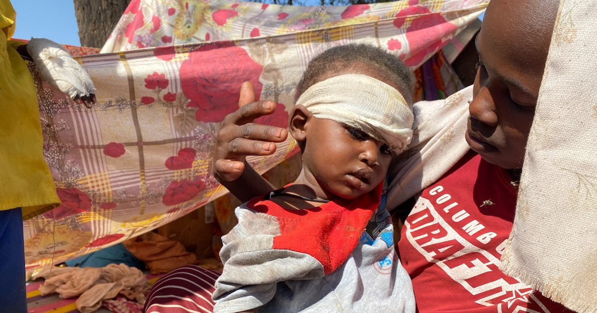 ONU denuncia crímenes masivos y violaciones por paramilitares FAR en Sudán