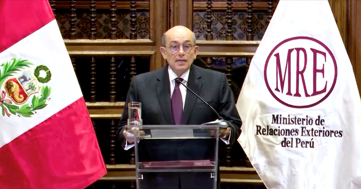 Canciller descarta ingresar a la embajada de México y presenta estrategia ante la OEA