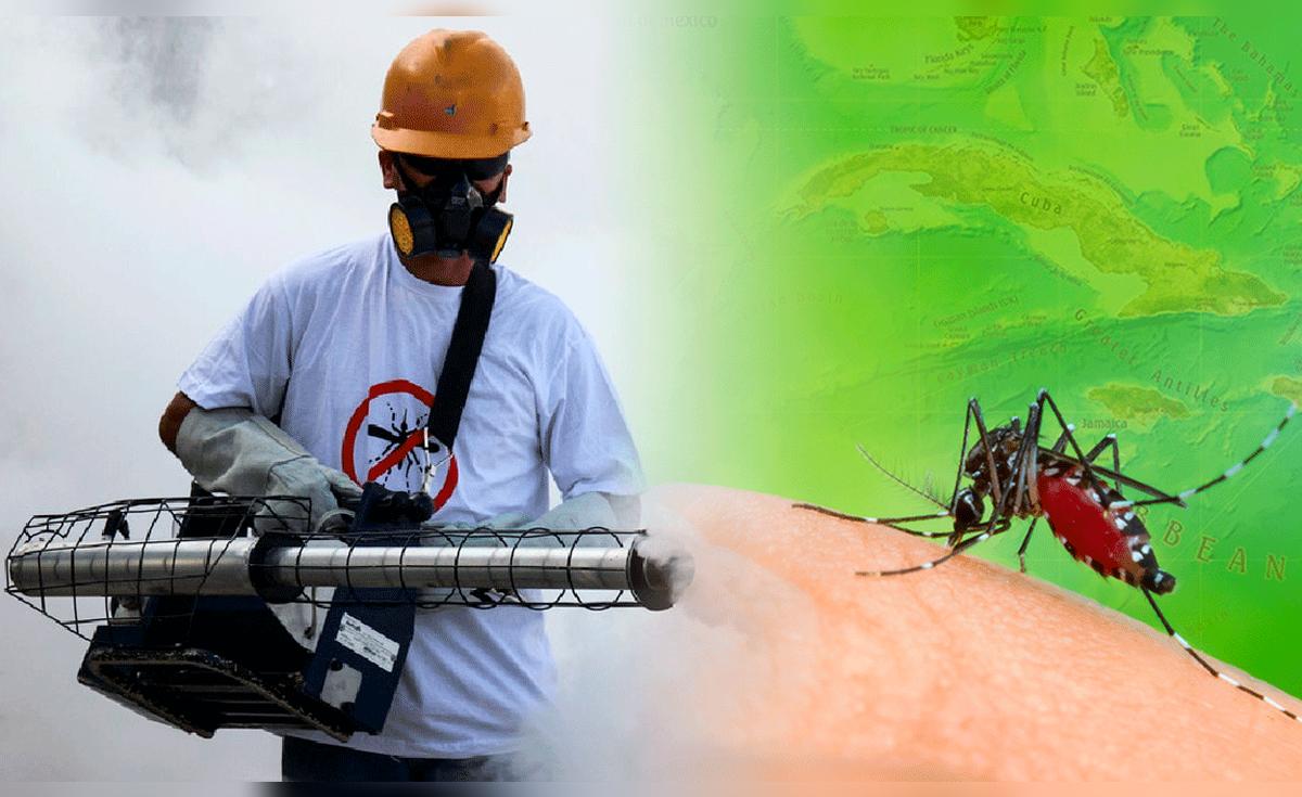 ¡Epidemia en Cuba: Más de 47,000 casos de dengue y chikunguña en plena crisis sanitaria!