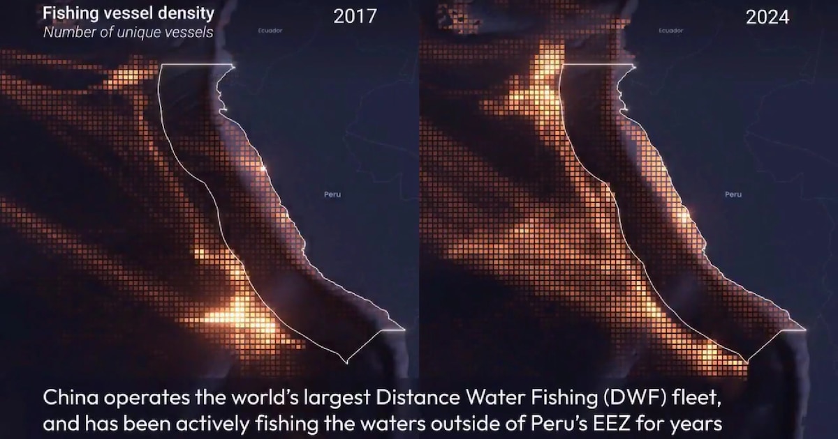 Barcos pesqueros chinos ponen en riesgo recursos marinos peruanos con 525 naves en ZEE 2024